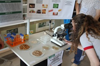 Na imagem uma estudante observa experimento utilizando um microscópio. Ao lado do equipamento várias amostras estão expostas.