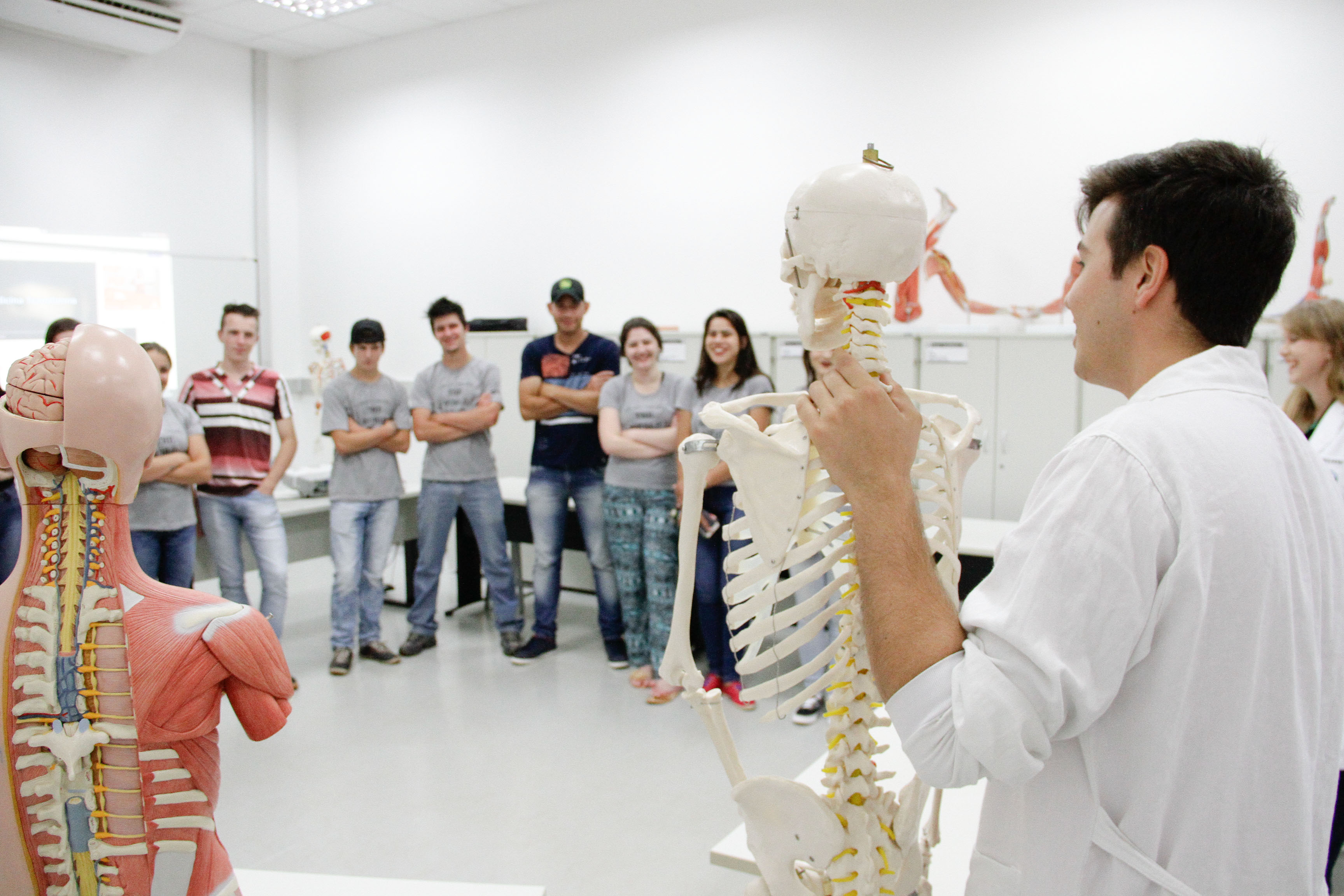Laboratório de Anatomia Humana