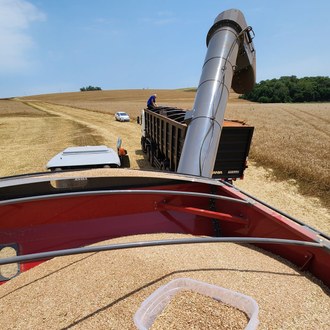 Visão de cima da graneleira cheia de grãos, à frente um caminhão com grãos e um carro, na lavoura