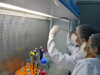 Foto em plano médio mostra duas pessoas, em laboratório, com máscaras, jalecos, toucas e luvas, com vidrarias, olhando contra a luz