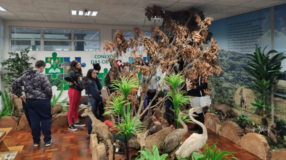 Espaço Educativo Conexões das Ciências recebe visita de estudantes