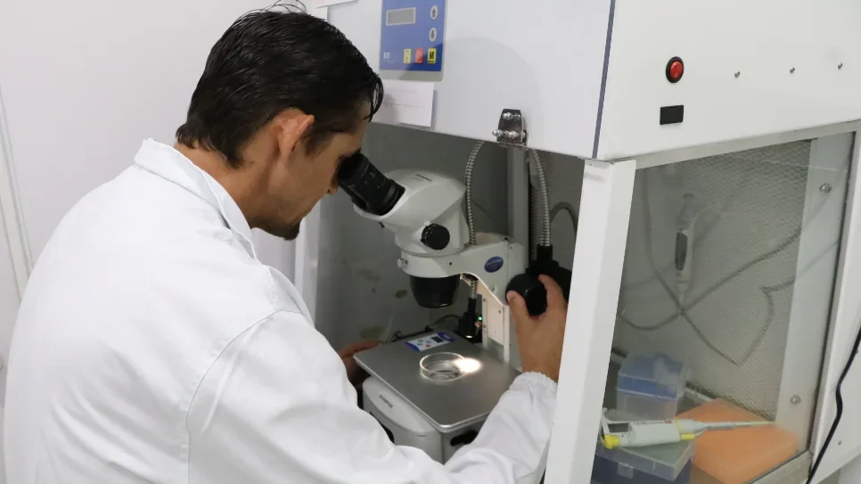 Mestrado em Saúde, Bem-estar e Produção Animal da UFFS abre seleção para disciplinas isoladas 2025.2