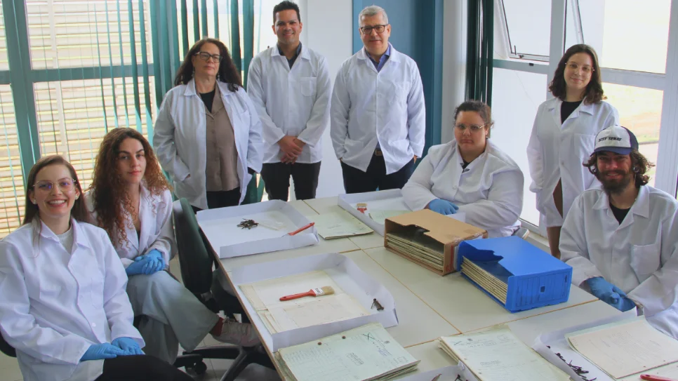 CEMHITE prepara acervo histórico para consulta pública