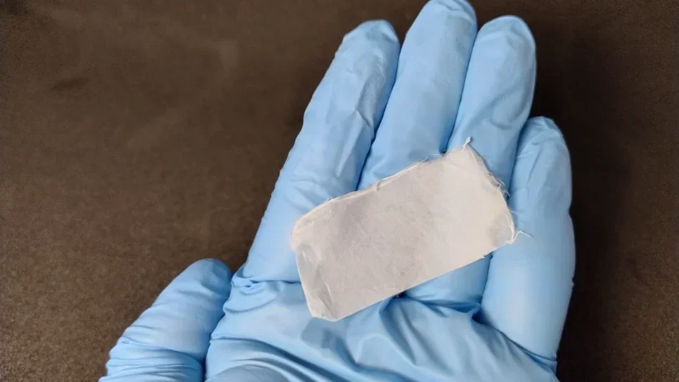 Pesquisa do PPGCTAL desenvolve alternativa natural e sustentável para o controle de fungos