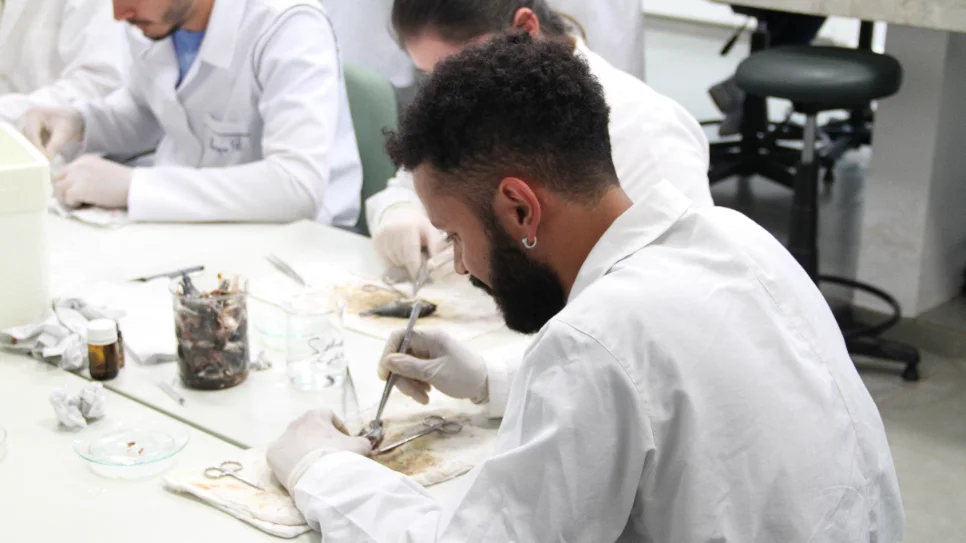 Avaliação da Capes sinaliza avanço na pós-graduação da UFFS