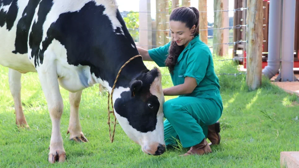 UFFS oferta 22 vagas em Mestrado em Saúde, Bem-estar e Produção Animal Sustentável em Realeza
